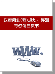 政府网站(群)规划、评测与咨询白皮书