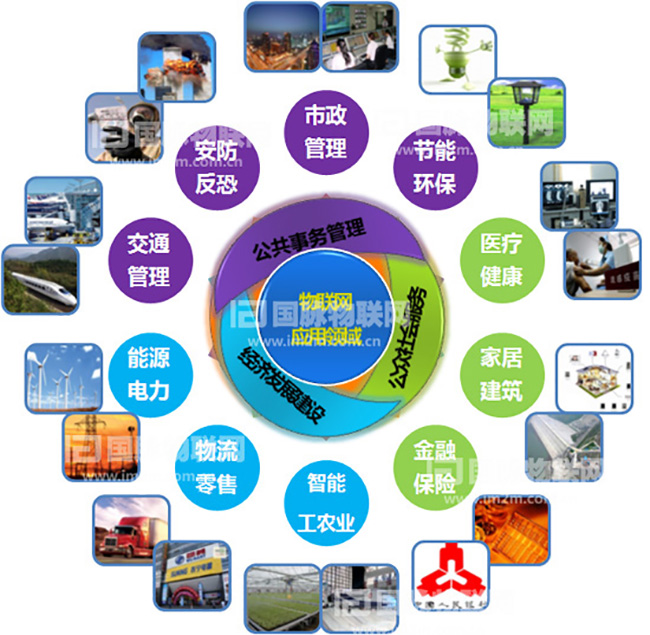 杨冰之：重视物联网在关键产业的应用