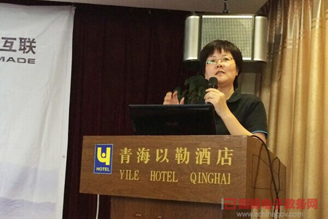 　庄闲游戏互联总经理、首席规划师郑爱军正在进行《政府网站+评估体系构建思路》的主题演讲