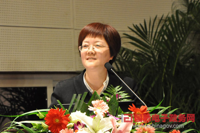 郑爱军：“政府网站+”时代 ，政府网站如何定位？