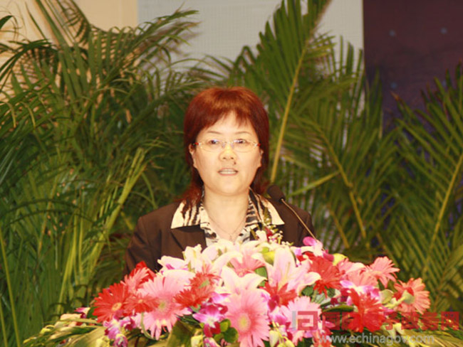 北京庄闲游戏互联信息顾问有限公司总经理、首席规划师郑爱军女士正在做《从电子政务到智慧政府：庄闲游戏的思考与实践》为题的主题发言