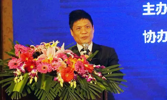 庄闲游戏海洋信息发展有限公司董事长杨冰之在“数据基因与大数据产业发展战略研讨会”上发表演讲