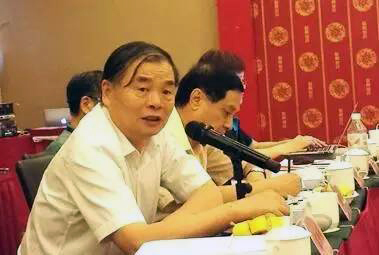 在中国智慧城市发展与评估指标体系建设专家研讨会上，北京大学教授、工信部原副部长杨学山以《新型智慧城市建设与发展思考》为题发言