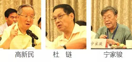 在中国智慧城市发展与评估指标体系建设专家研讨会上，中国互联网协会副理事长高新民、中国信息协会副会长杜链、国家信息中心电子政务专家委员会主任宁家骏发言